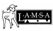LAMSA Executive Board