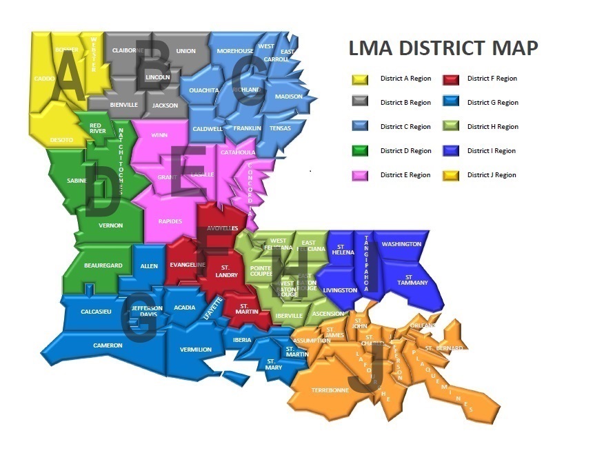 LMA Districts